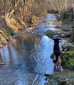 Tiff Other | Hawks Bluff Farm
