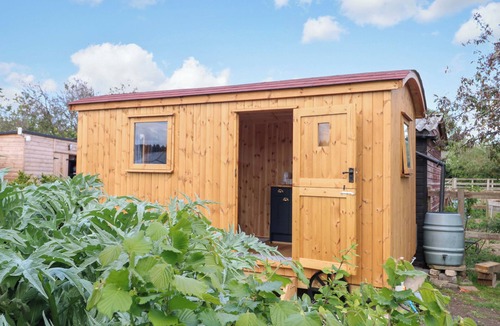 Welney Cottage | HAZEL, pet friendly, with a garden in Downham Market