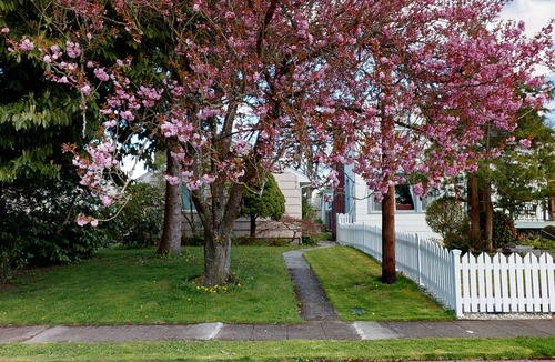 Snohomish Apartment | Hazel's Hideaway: A/C in walkable neighborhood