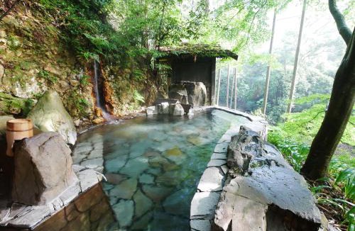 Shinshiro Hotel | Hazu Gassyo