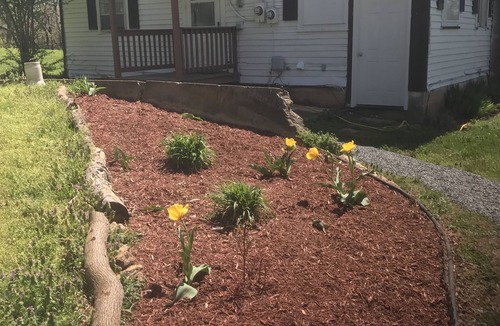 Culpeper House | HB1 at Spring Haven Farm