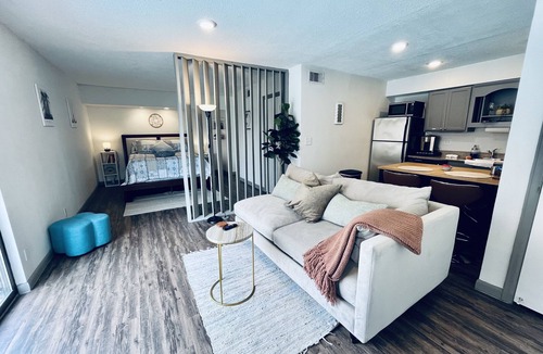 Braeswood Place Apartment | Heart of Houston NRG - TMC studio @ Main Street 77030