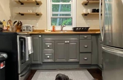Mount Hope Cottage | Hello Small Stone