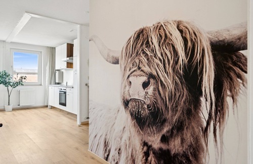 Braunschweig City Center Apartment | Hellohome Castle View Apartment Winter Garden