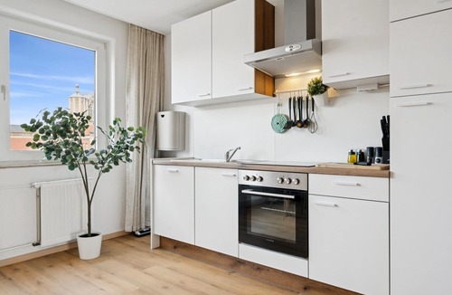 Braunschweig City Center Apartment | Hellohome Castle View Apartment Winter Garden