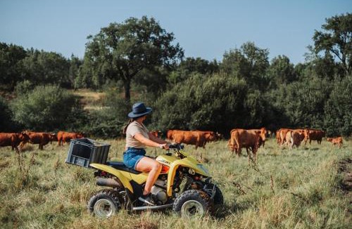 Chamusca Bed & Breakfast | Herdade dos Cordeiros