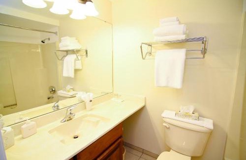 Campbell River Hotel | Heron's Landing Hotel