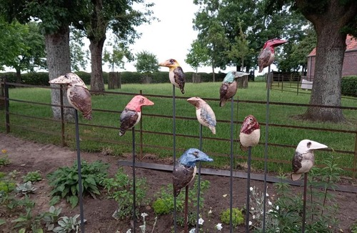 Dentergem Bed & Breakfast | Het Meikenshof
