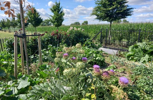 Dentergem Bed & Breakfast | Het Meikenshof