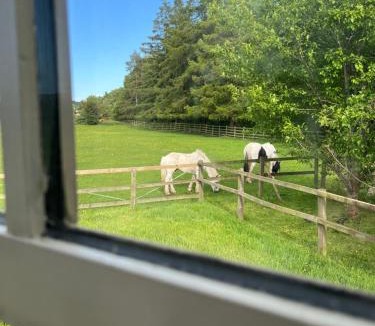 Hexham Other | Hexhamshire Shepherd Hut