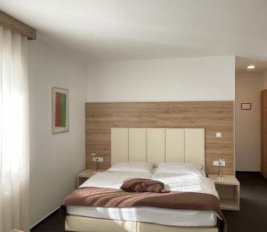 Kranj House | Hiša Aleš