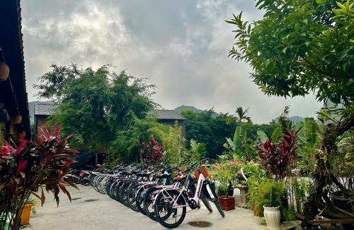 Hoa Lu Cabin | Hi Bungalow