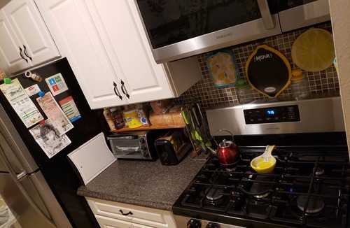 Berkeley Manor House | Hibiscus Hideaway Cozy home, Pet Friendly, Pool, Hot Tub, Kayaks & Bikes
