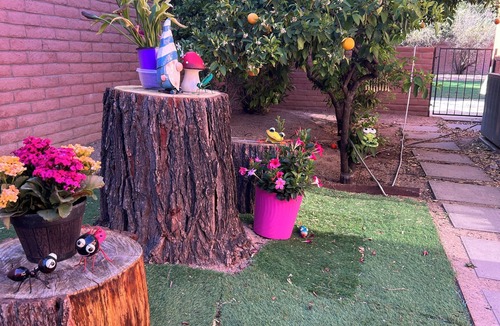 Hill Farm House | Hidden bed & breakfast style jewel in Tucson