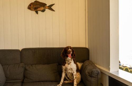 Kaikoura House | Hidden Gem, Whales & Dolphins, Epic Location - KK71342