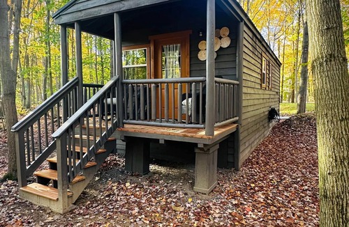Birch Run Township Cabin | Hidden Oaks Cabin Resort | Lodge Cabin | Unit 3