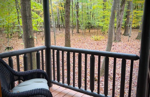 Birch Run Township Cabin | Hidden Oaks Cabin Resort | Lodge Cabin | Unit 3
