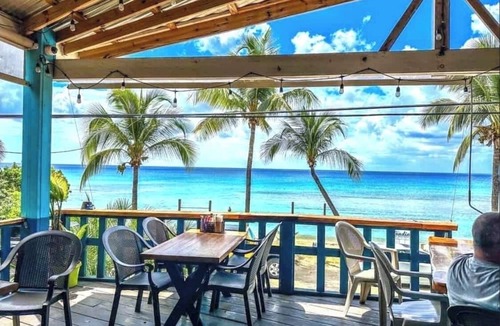 Estate Saint George Apartment | Hidden Treasure steps from The Botanical Gardens! Centrally located!