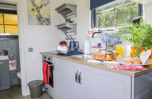Hayton Cottage | HIGH RIGG SHEPHERD'S RETREAT, pet friendly in Brampton, Cumbria