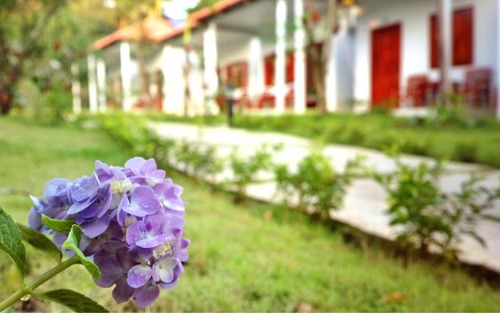Duong Dong House | Highland Bungalow