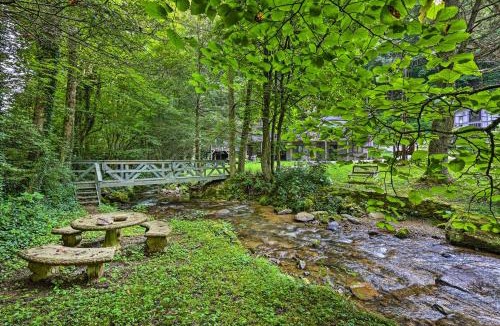 Roan Mountain House | Hike & Fish! Creekside Couples Retreat in Roan Mtn