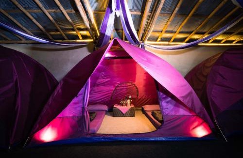 Toya Bungkah Other | Hiker's Camp at Toya Devasya