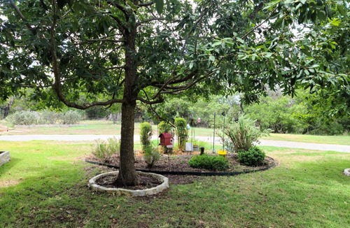 Spring Branch House | Hill Country Haute n Haus Relax and Renew
