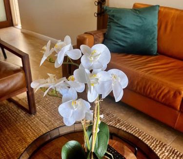 Langebaan Apartment | Hill Fore!