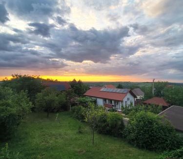 Oradea House | Hill House