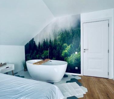 Toplita Villa | Hill House SD