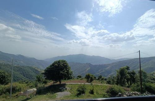 Chakrata House | Hill view