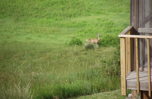 Pierre House | Hillbilly Relaxation Ranch - Your Fish & Hunt & Family Reunion Destination