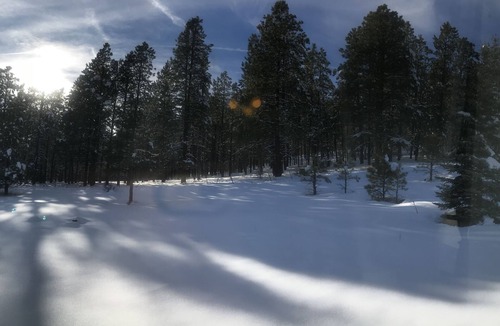Flagstaff House | Hillside Cottage: Restful, quiet setting Coconino County Permit # STR-25-0566