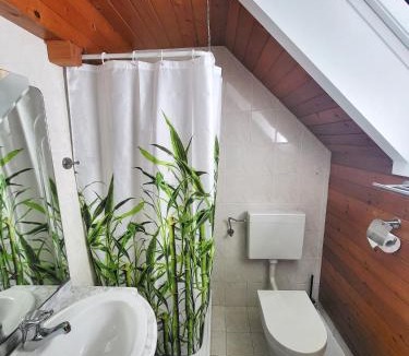 Bodesce Ski Chalet | Hillside Cottage