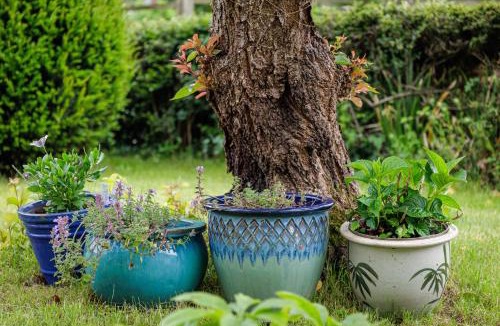 Ewyas Harold House | Hillside