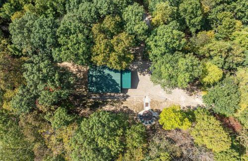 Blissfield House | Hillside Haven