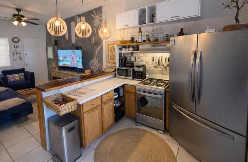 Cabo San Lucas Apartment | Hillsize Oceanview Apartment with King Bed