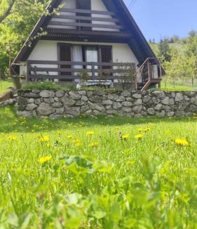 Pricelje House | Hilltop cabin