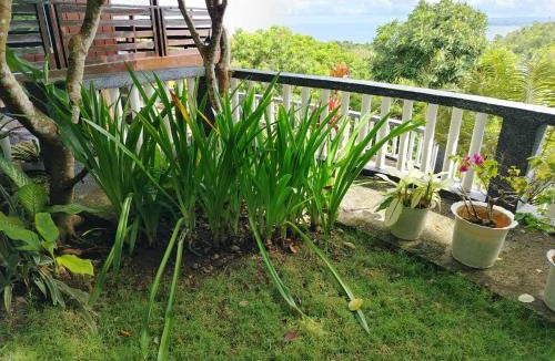 Malay House | Hilltop Cottage