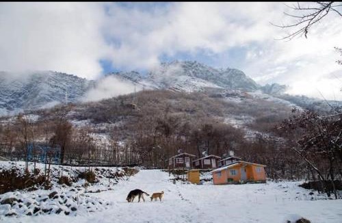 Brein House | Himalayan Huts