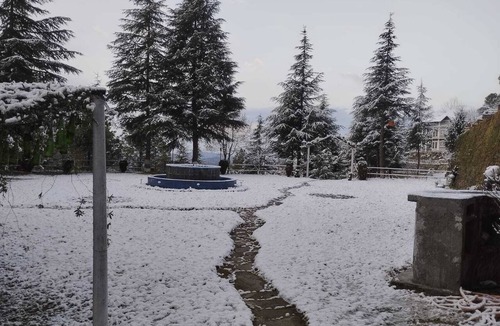 Rajgarh Hotel | Himgiri Nature Retreat