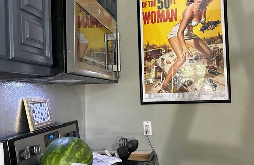 Soulard Condo | HIp Pop-Art Themed 2-bedroom condo in superb Historic Soulard, St. Louis