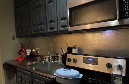 Soulard Condo | HIp Pop-Art Themed 2-bedroom condo in superb Historic Soulard, St. Louis