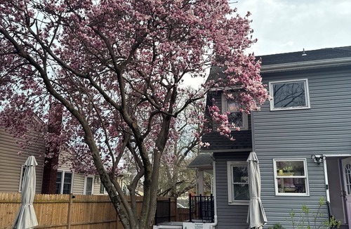 Bound Brook Apartment | Historic apartment in Bound Brook. Newly renovated, gated parking, garden patio