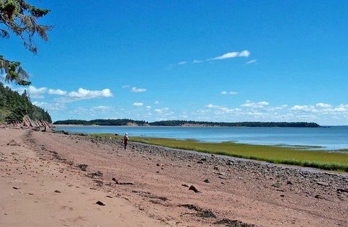 Harvey Cabin | Historic Bed and Breakfast Accommodation near Hopewell Cape, New Brunswick