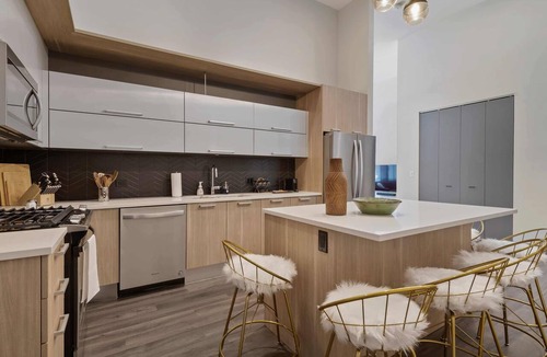 Downtown Chicago Apartment | Historic Charm + Modern Comfort for Tourists