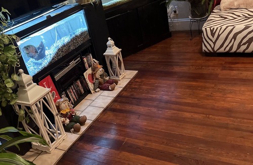 South Norfolk Apartment | Historical section of Chesapeake. Propertie nice and groomed quiet neighborhood.