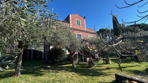 Cinque Terre Apartment | Historical Villa The Birdhouse - Garden Views