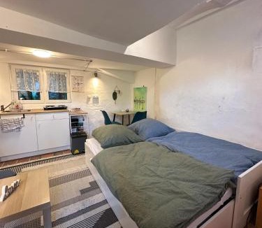 Watzelhain Apartment | Historisches Backhäuschen Studio