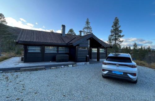 Vikberget House | Hito - cabin between Flå and Eggedal